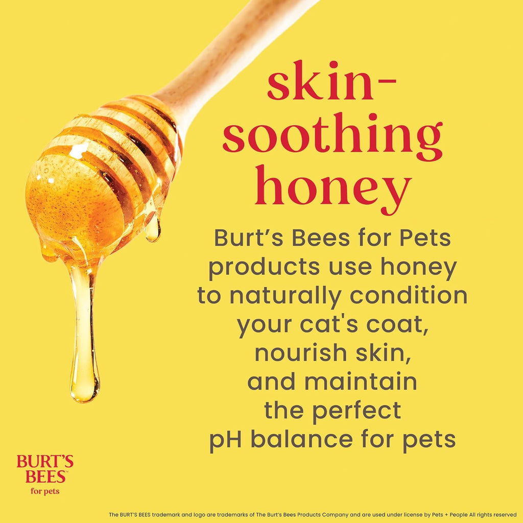 Tearless Kitten Shampoo with Buttermilk and Honey - 99% Natural Gentle Formula for Sensitive and Itchy Skin, pH Balanced and Fragrance-Free, 10 Fl Oz