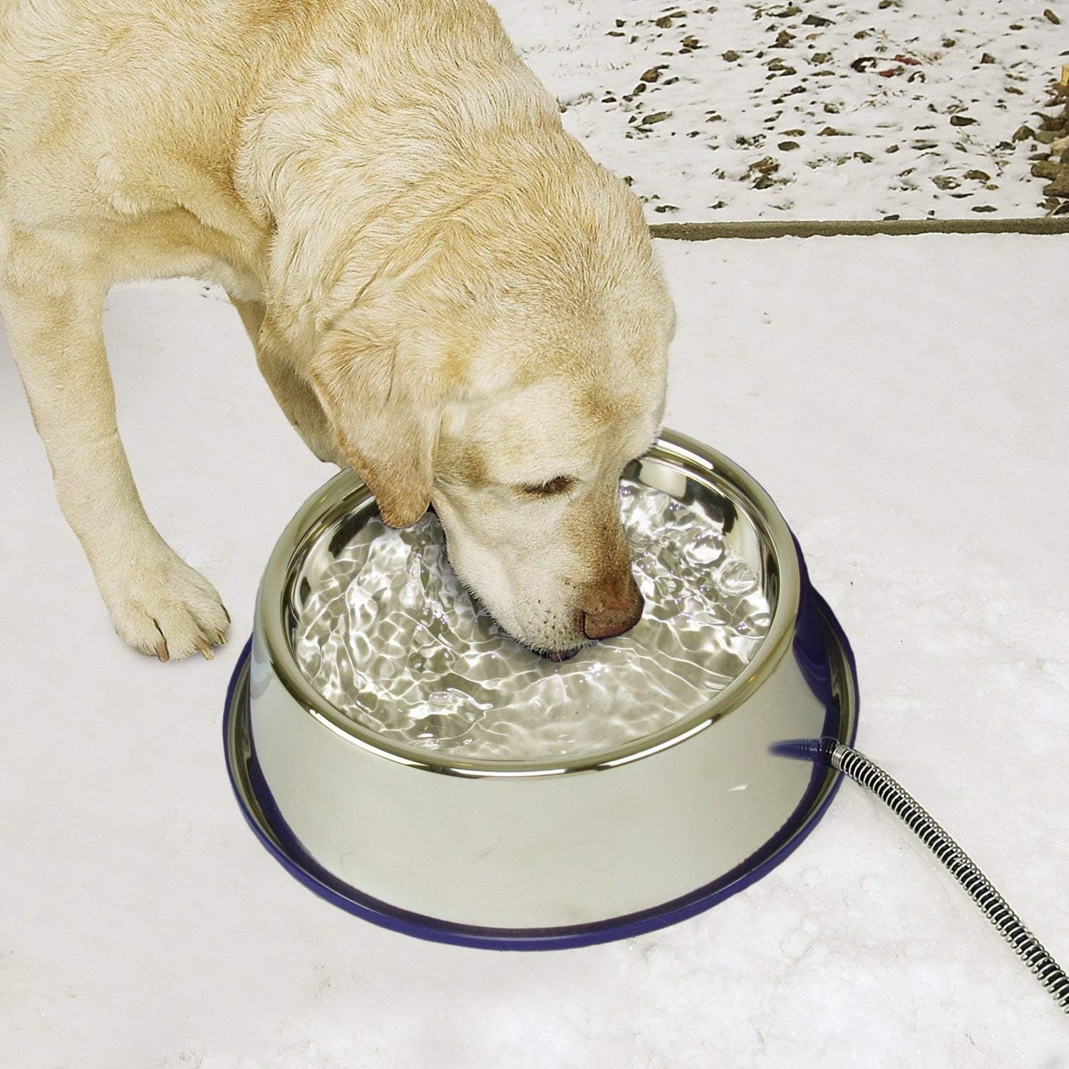 Thermal-Bowl Heated Water Bowl for Cats & Dogs Outside, Safety Listed Outdoor Heated Dog Dish for Pets, Automatic No Freeze, anti Chew Cord - 102 Ounces Stainless 25W | Outdoor Water Stays Unfrozen in Winter. Outdoor Heated Dog Dish for Pets, Automatic No Freeze, anti Chew Cord, 102 Ounces