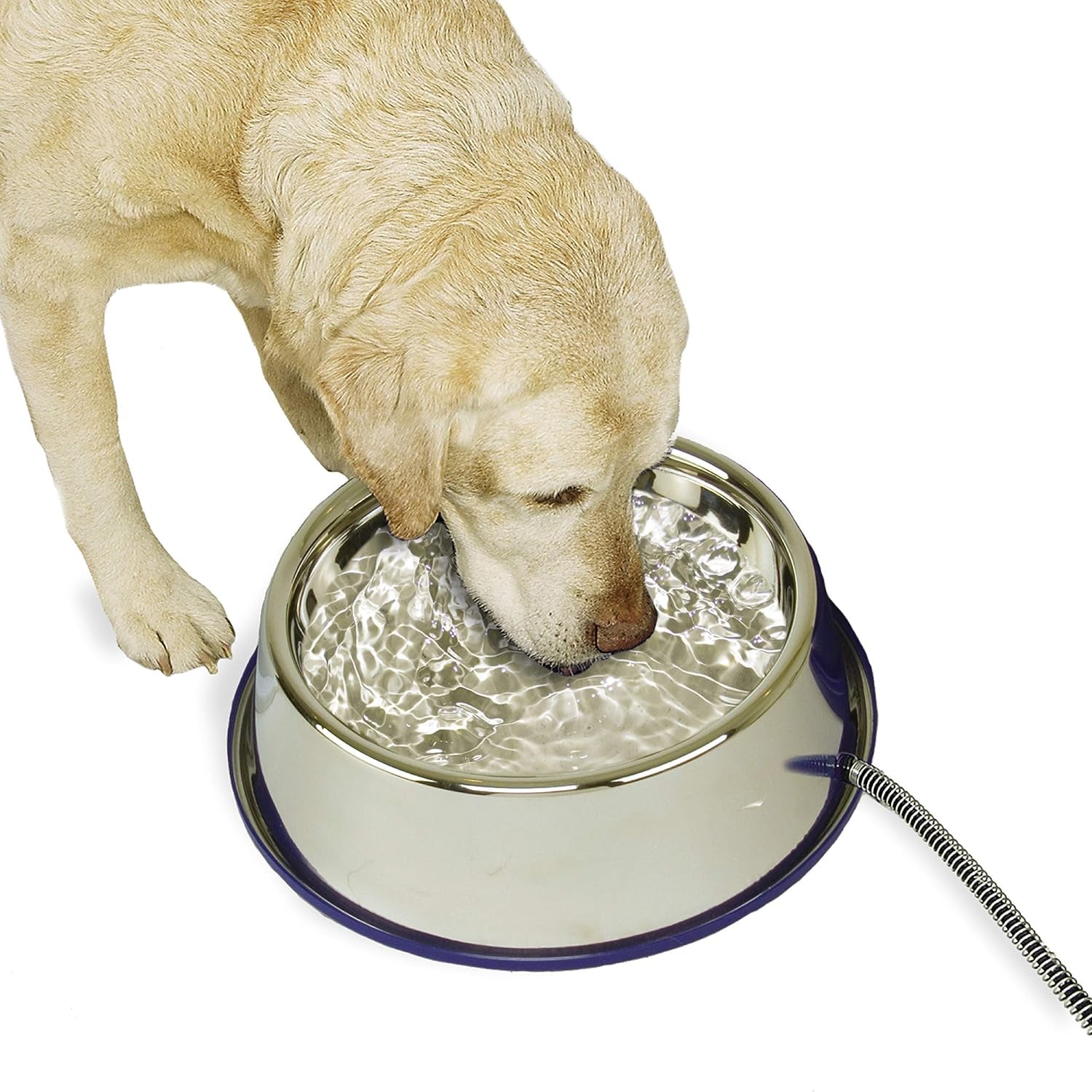 Thermal-Bowl Heated Water Bowl for Cats & Dogs Outside, Safety Listed Outdoor Heated Dog Dish for Pets, Automatic No Freeze, anti Chew Cord - 102 Ounces Stainless 25W | Outdoor Water Stays Unfrozen in Winter. Outdoor Heated Dog Dish for Pets, Automatic No Freeze, anti Chew Cord, 102 Ounces
