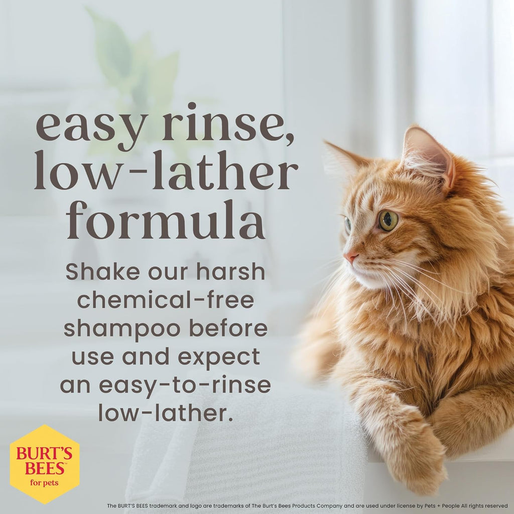 Tearless Kitten Shampoo with Buttermilk and Honey - 99% Natural Gentle Formula for Sensitive and Itchy Skin, pH Balanced and Fragrance-Free, 10 Fl Oz